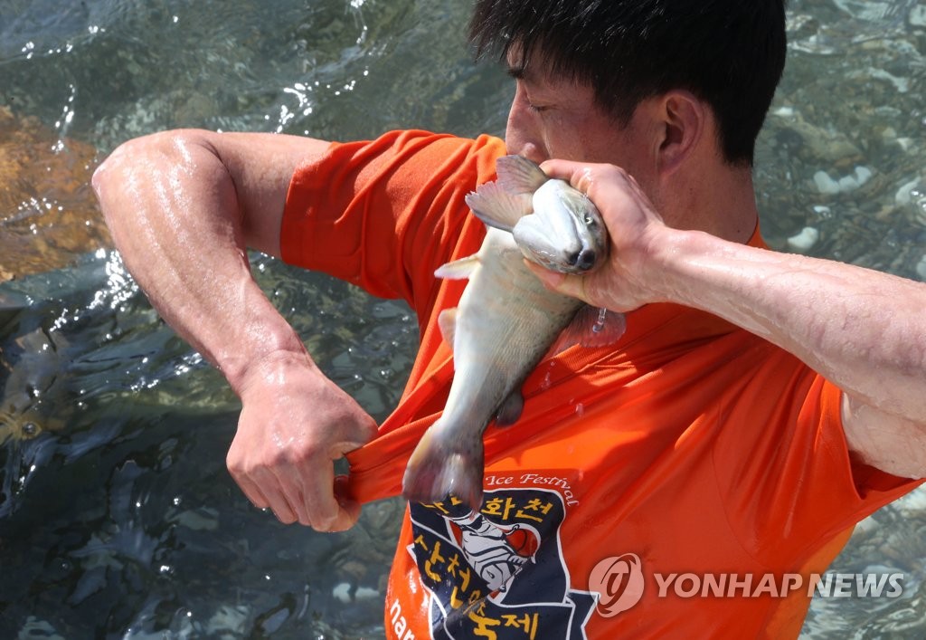 잡은 산천어는 티셔트 안으로 '쏘옥∼'