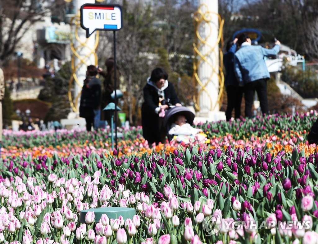 봄이 왔어요