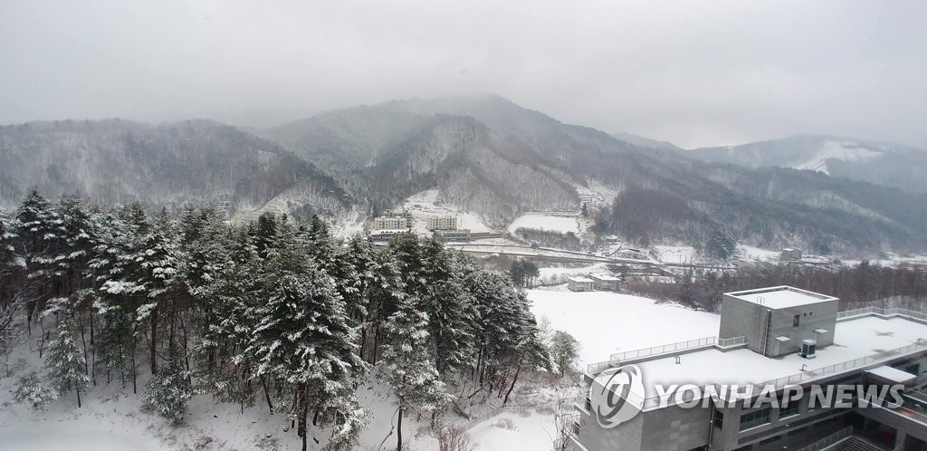 춘삼월 '겨울 왕국'