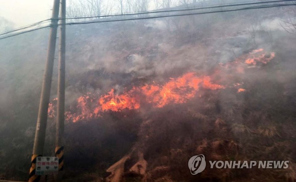 강풍 타고 번지는 인제 산불