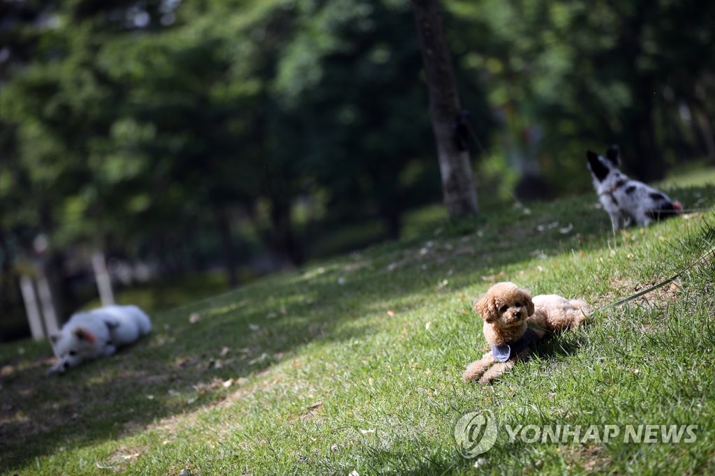 햇살 좋은 날