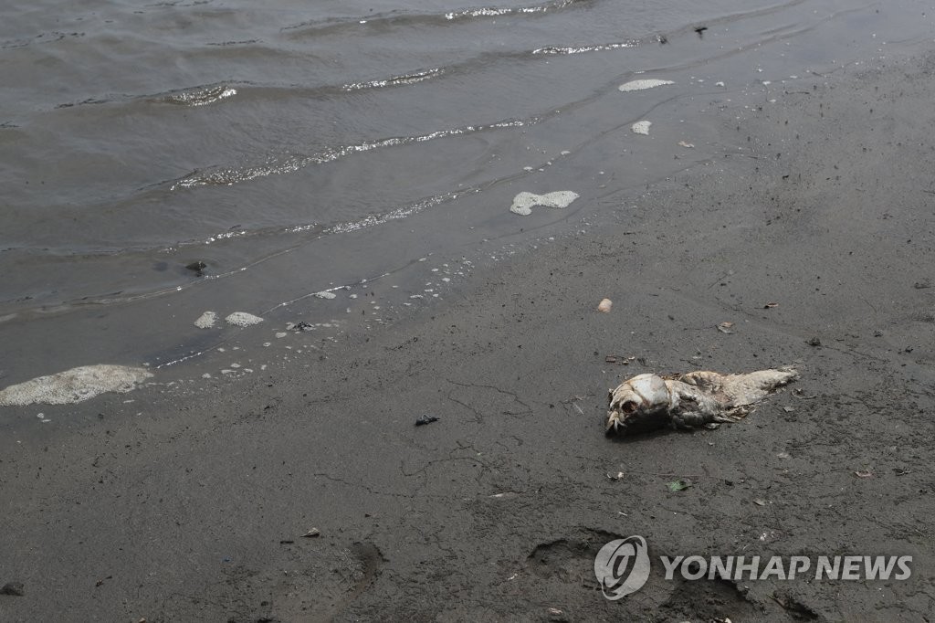 '마른 장마'
