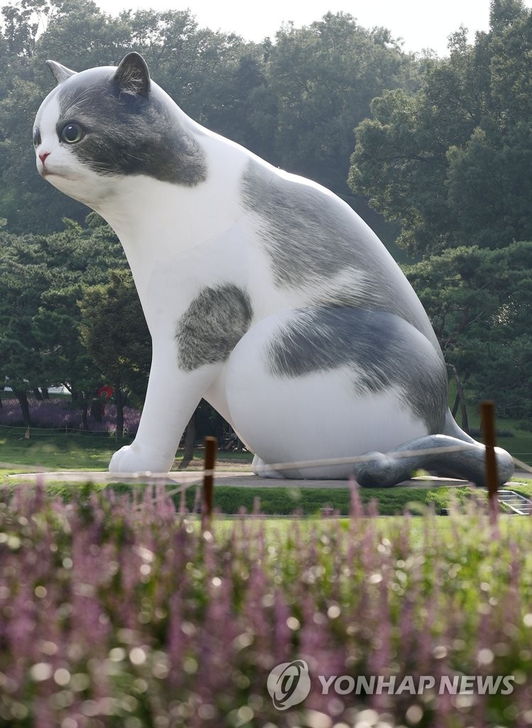 올림픽공원에 나타난 거대한 고양이