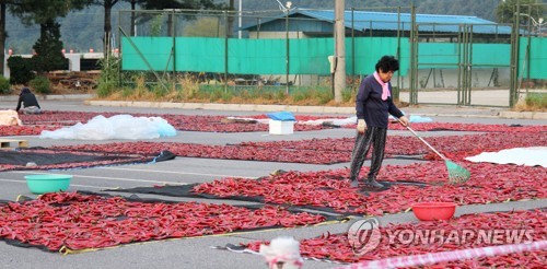 "경찰서 주차장서 농작물 건조하세요"