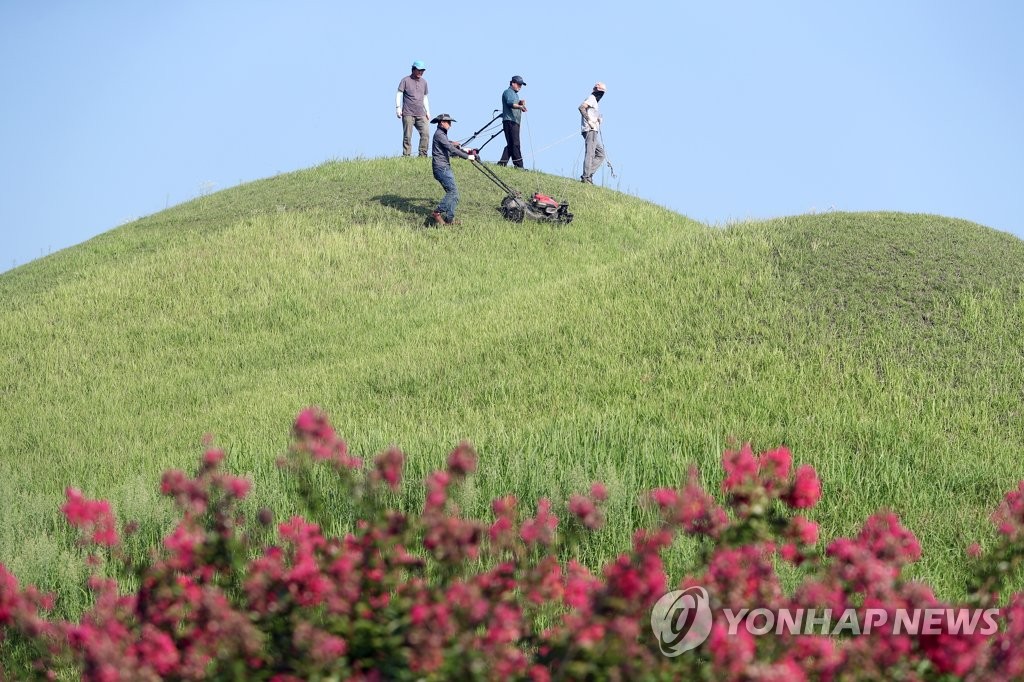 추석 벌초 시작한 경주 대릉원