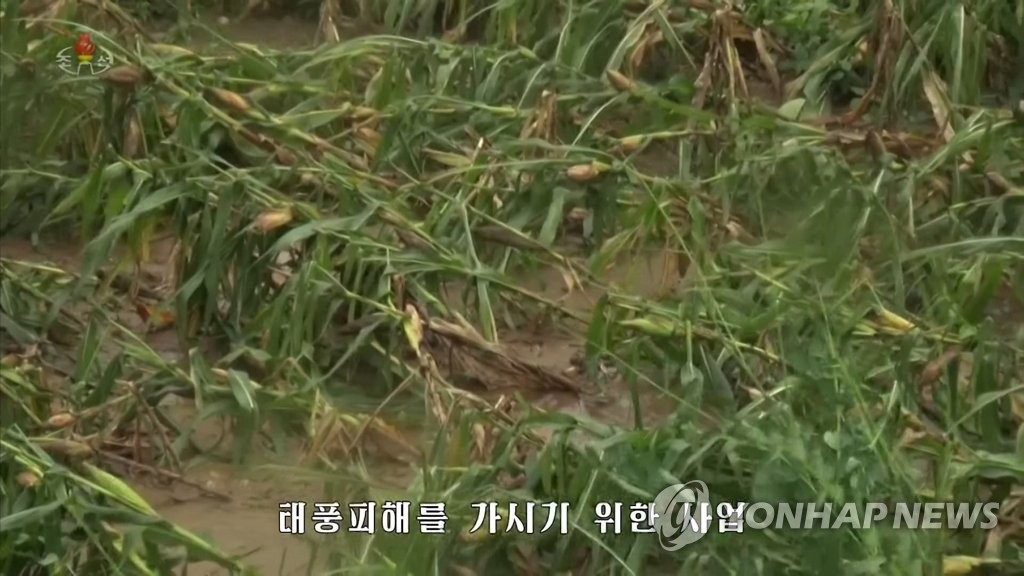 북한 TV, 태풍 '링링' 소식 보도…농업부문 피해 커