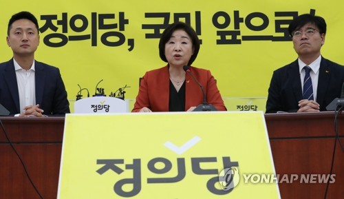발언하는 심상정 대표