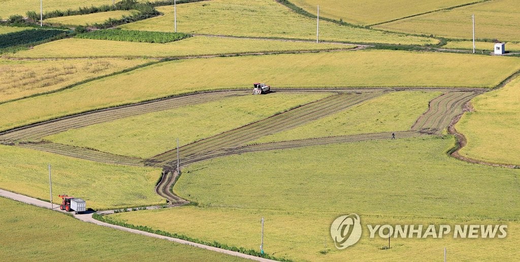 추수의 기쁨
