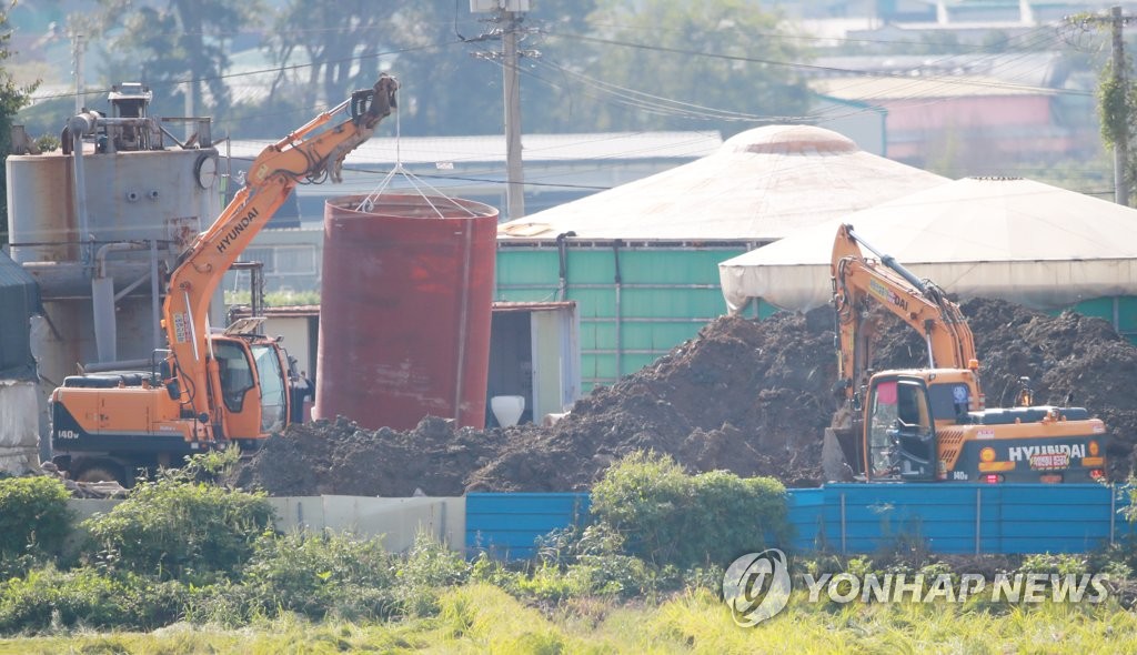 파주 양돈농장 살처분 매립 준비