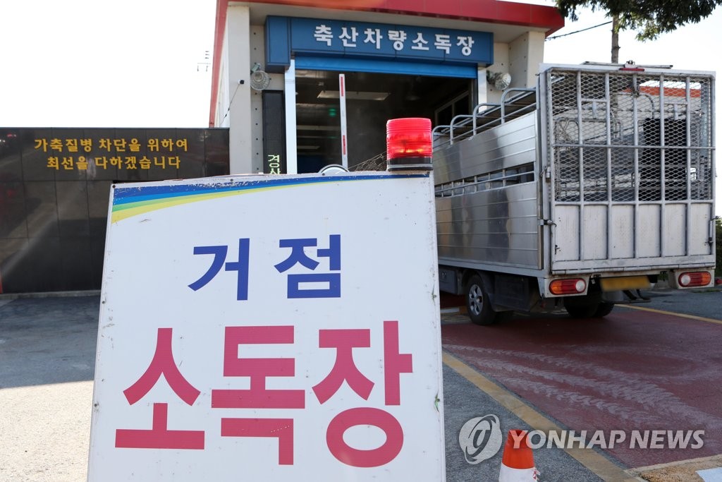 경산 소독장에서 소독 받는 축산차량