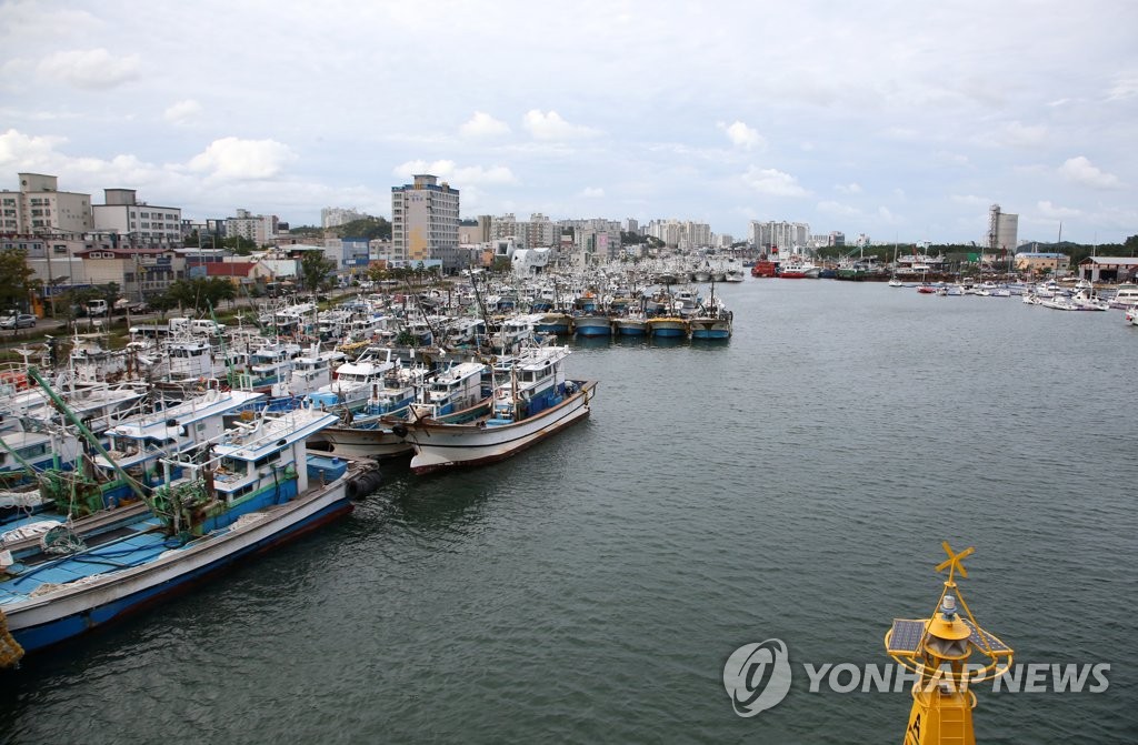 항구에 대피한 어선