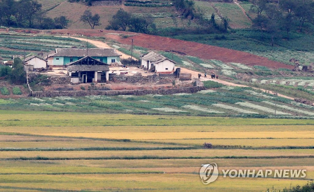 북한 개풍군 가을 작업