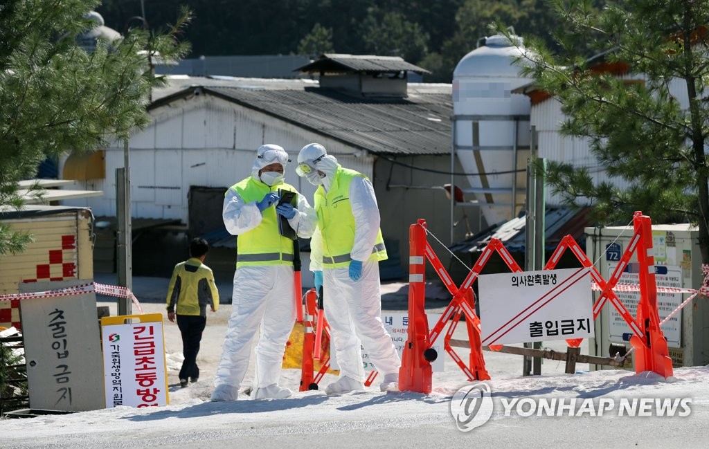 돼지열병 의심 신고된 김포 양돈농장