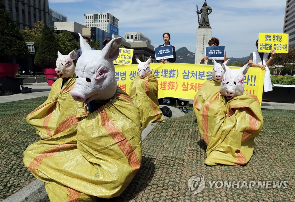 인도적 돼지 살처분 촉구 퍼포먼스[연합뉴스 자료사진]