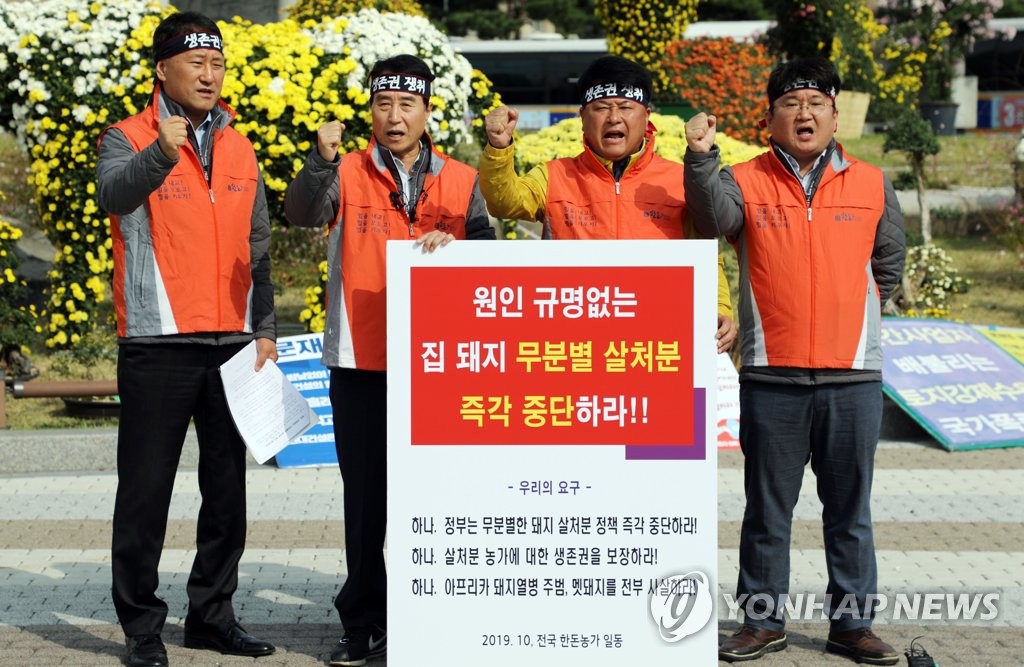 한돈협, '돼지 일괄 살처분 반대'
