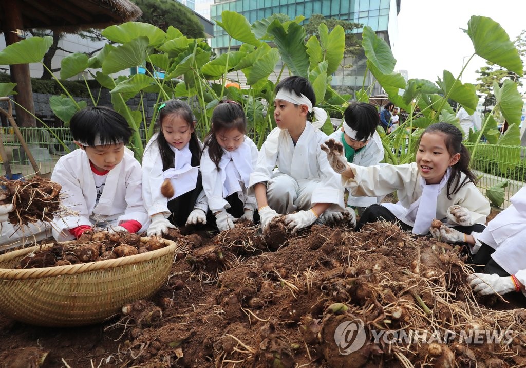 ′어린이 농부 체험해요′…농업 박물관 벼 베기 체험