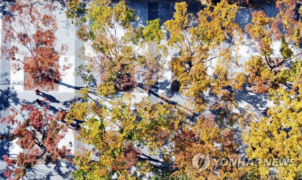 단풍으로 물든 도심 공원