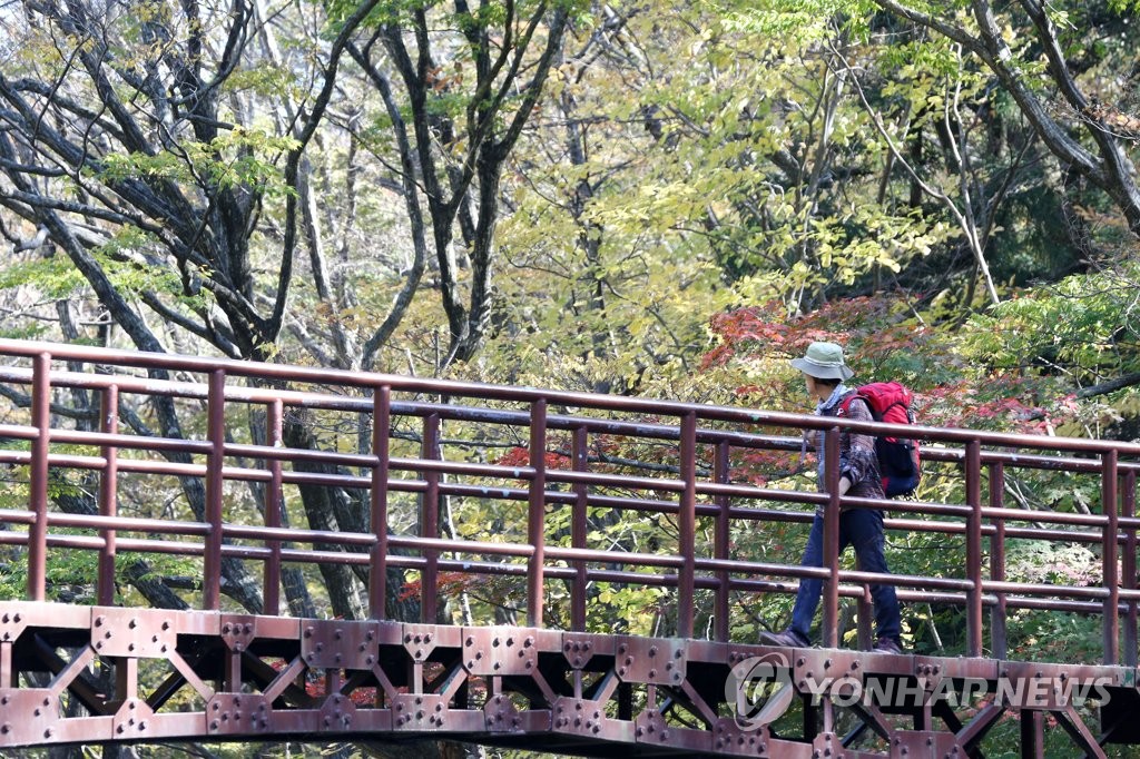 "가을을 바라보는 내 마음도 붉게 물드네"
