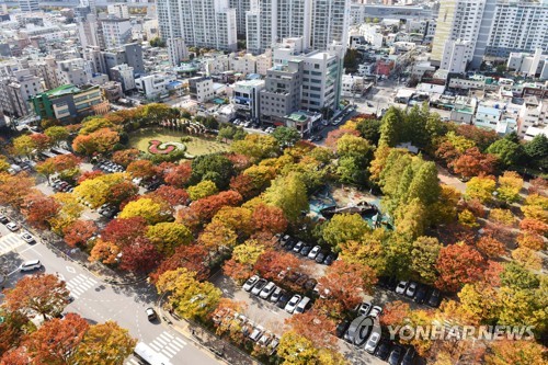 가을옷 갈아입은 부산시청 광장