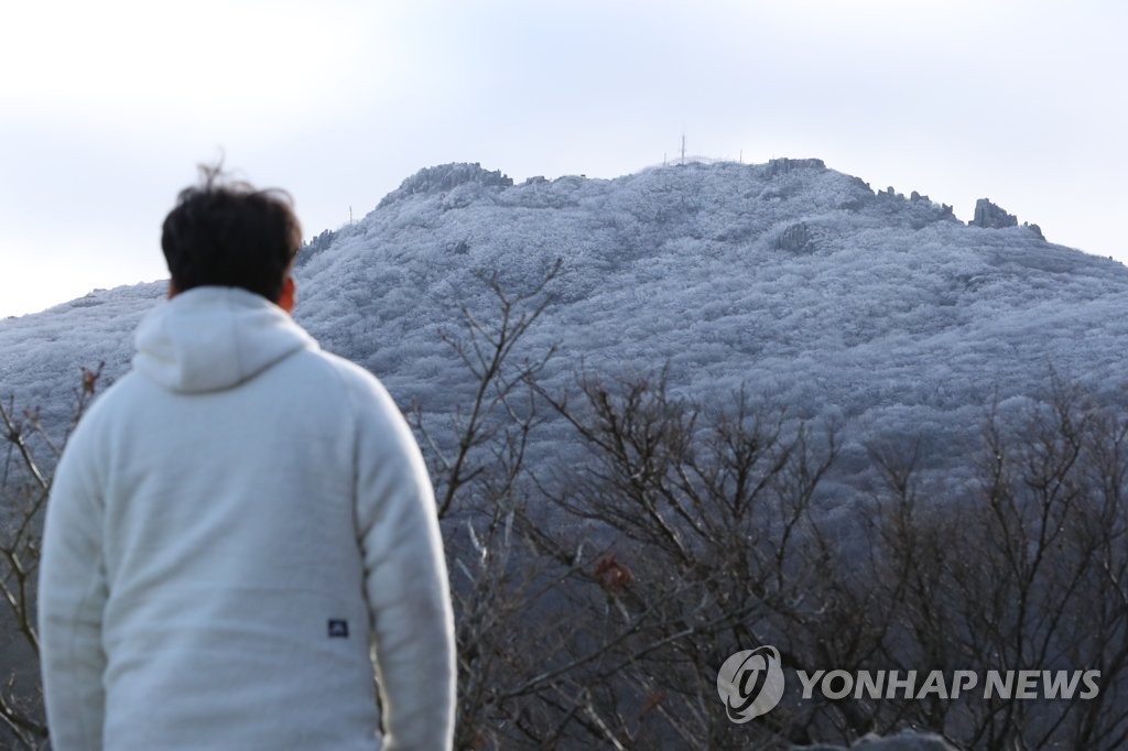 무등산 정상부에 피어난 상고대