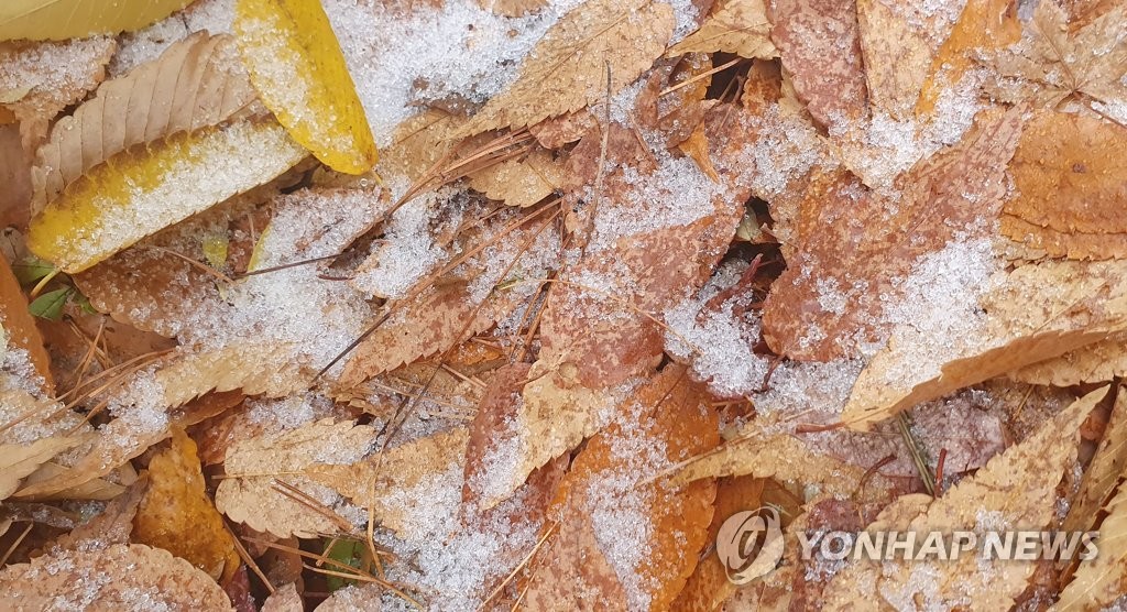 강원 내륙 첫눈