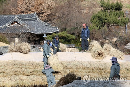 초가지붕 새단장