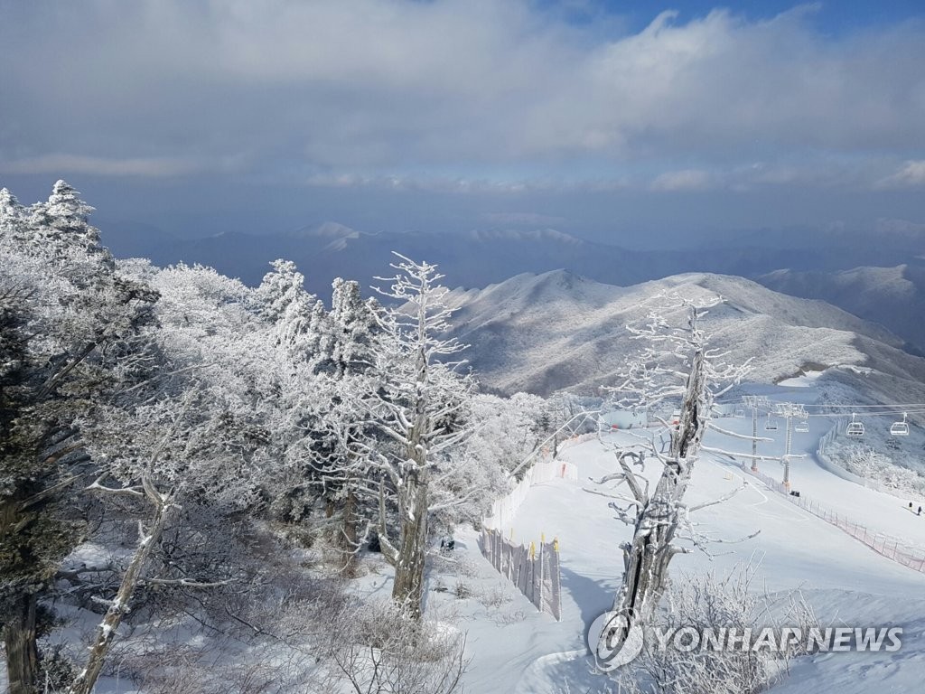 무주덕유산리조트의 설경