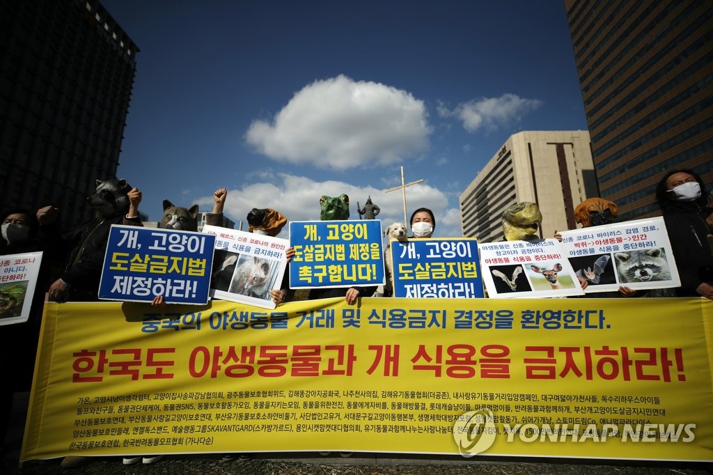 "한국도 야생동물과 개 식용 금지하라"