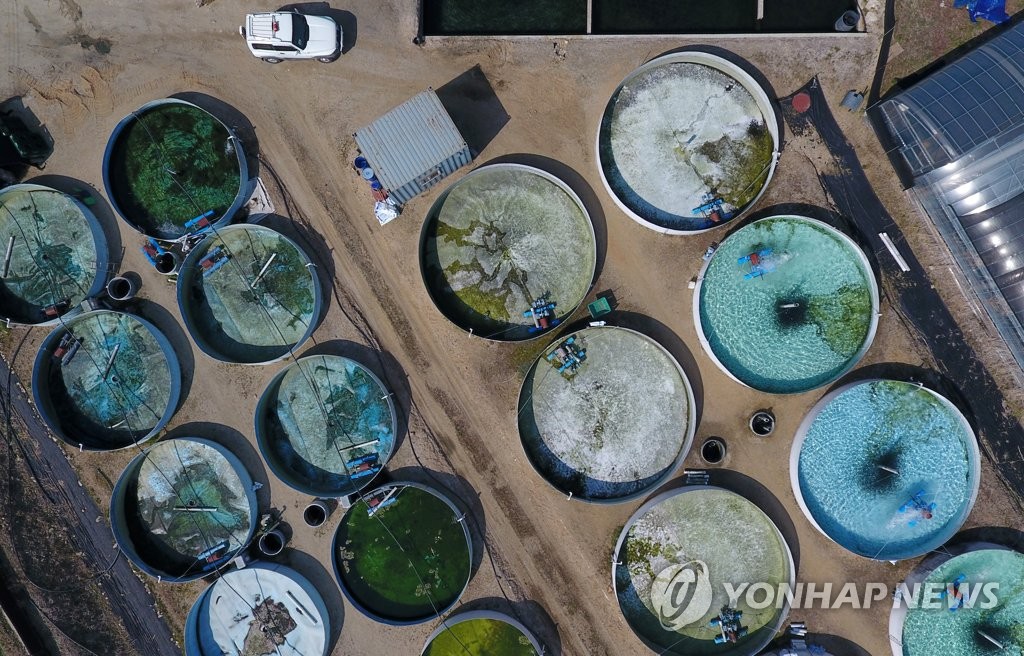 산천어 폐기 처분 뒤 텅빈 수조
