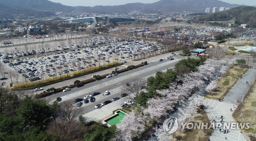 서울대공원에 주차된 봄나들이 차들