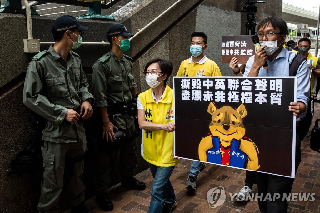 '곰돌이 푸' 플래카드 들고 행진하는 홍콩 시위대