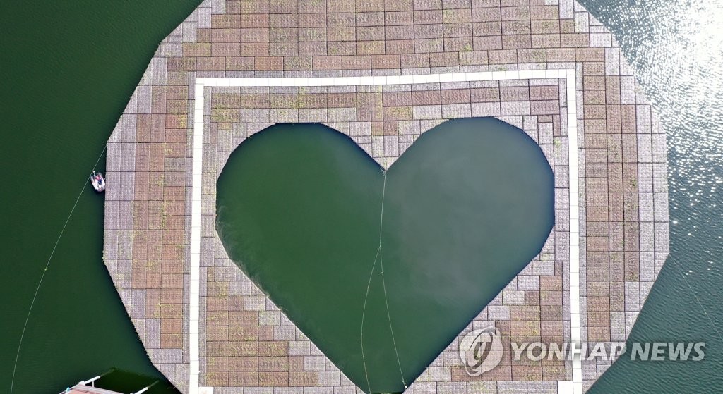 의암호에 띄운 '인공수초'