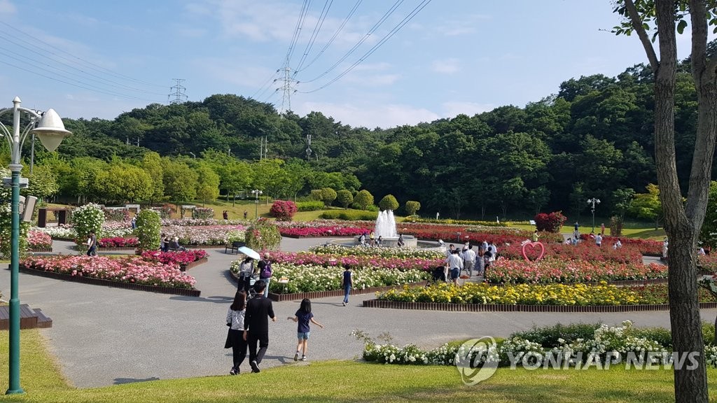 울산대공원 장미원 인기