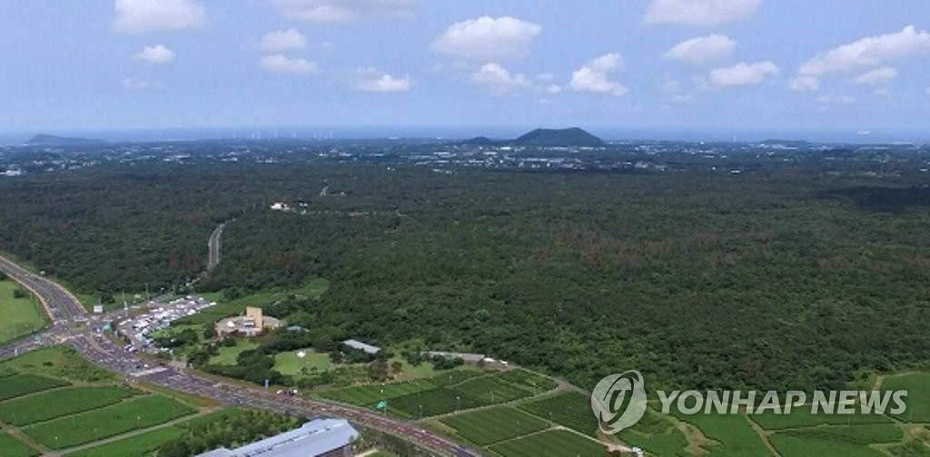 공유화된 곶자왈 사유지