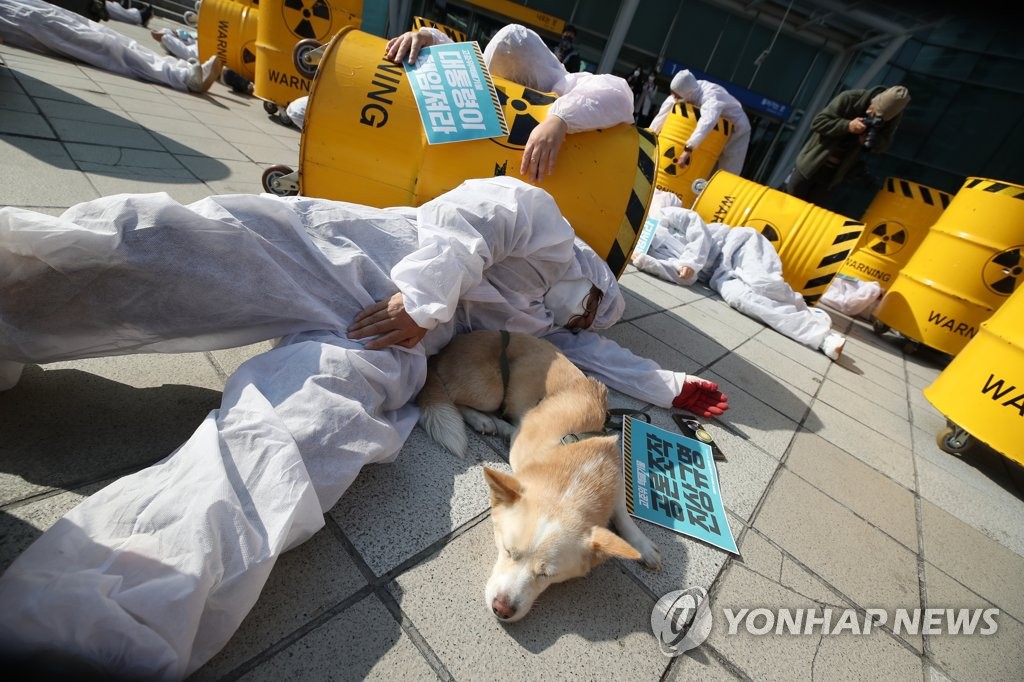 강아지도 동참한 퍼포먼스