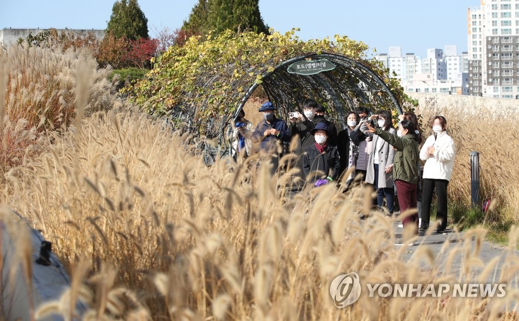 정부세종청사 옥상정원 관람
