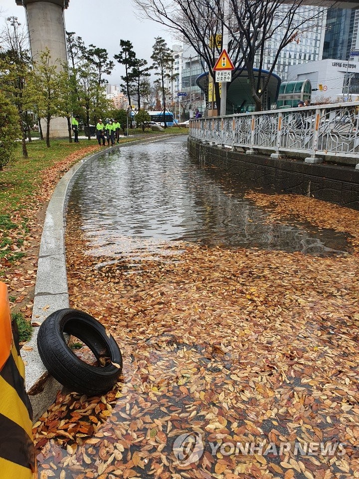 비에 쓸린 낙엽이 배수로 막아 물바다 된 도로