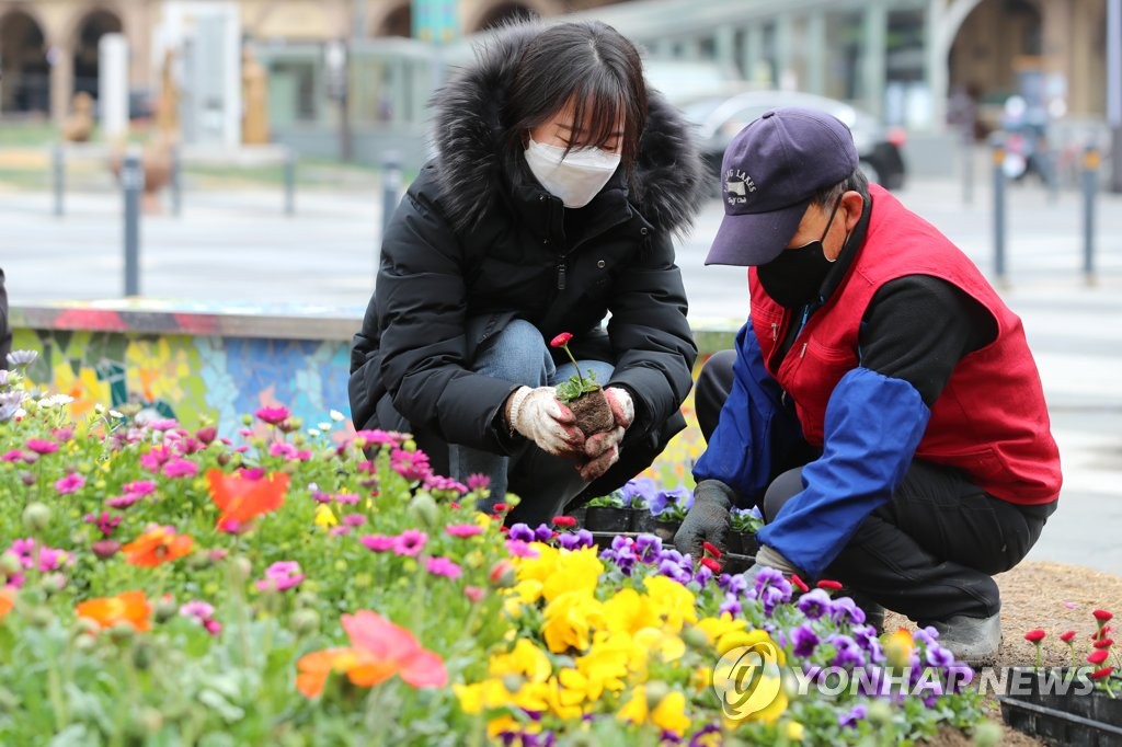 성동구, 봄맞이 왕십리광장 꽃 식재