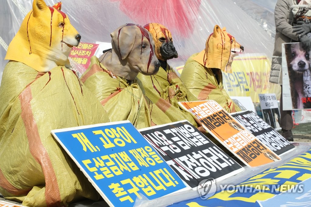 동물보호단체 '도살금지법 제정하라' 국회 앞 퍼포먼스
