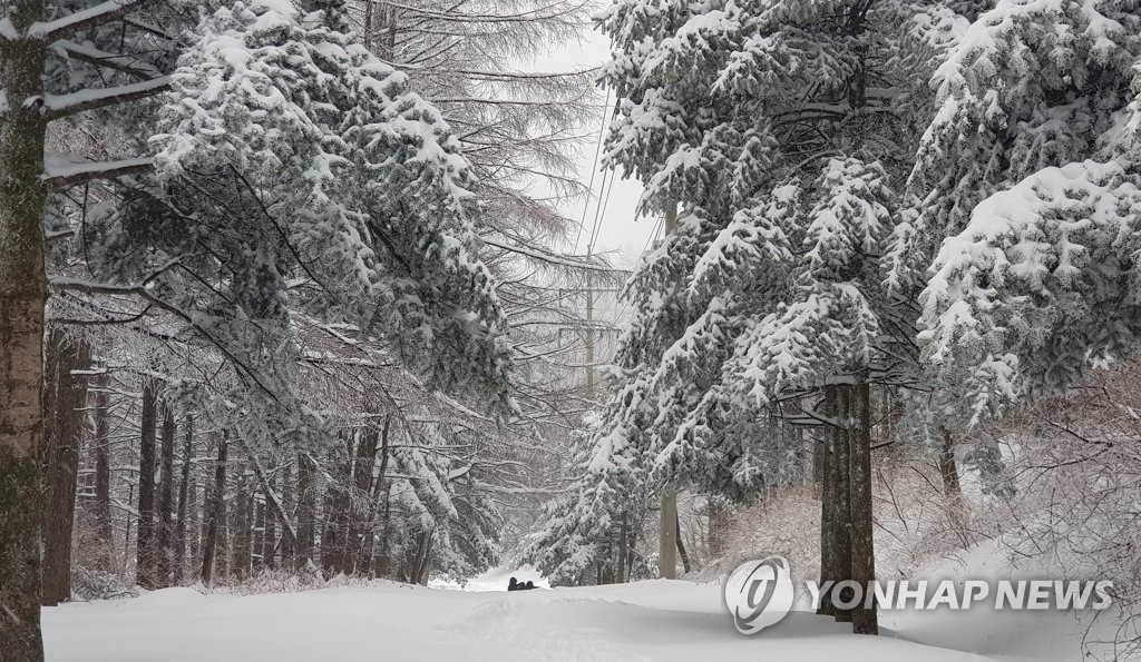 대관령 설경 장관