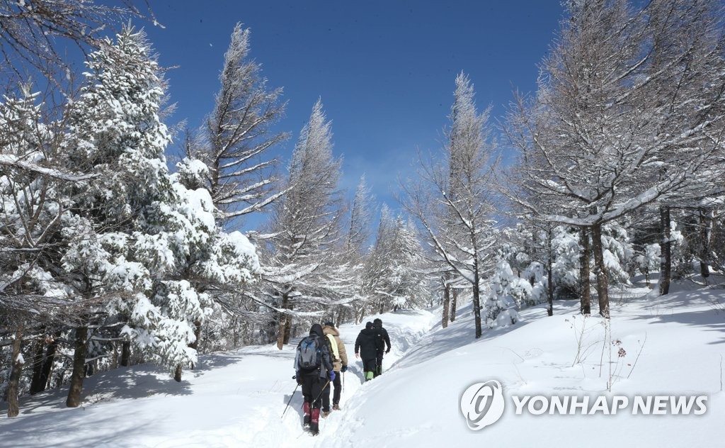 'Snowland' 'Snowland'