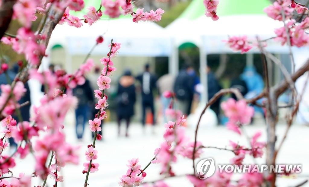 '다시 꽃피는 계절…해 넘긴 코로나 시대'