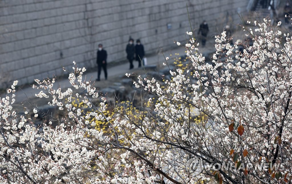 포근한 낮