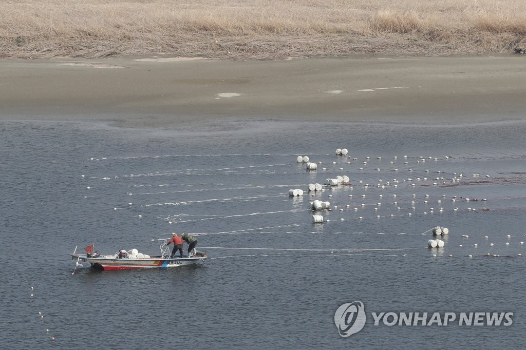 접경지의 봄