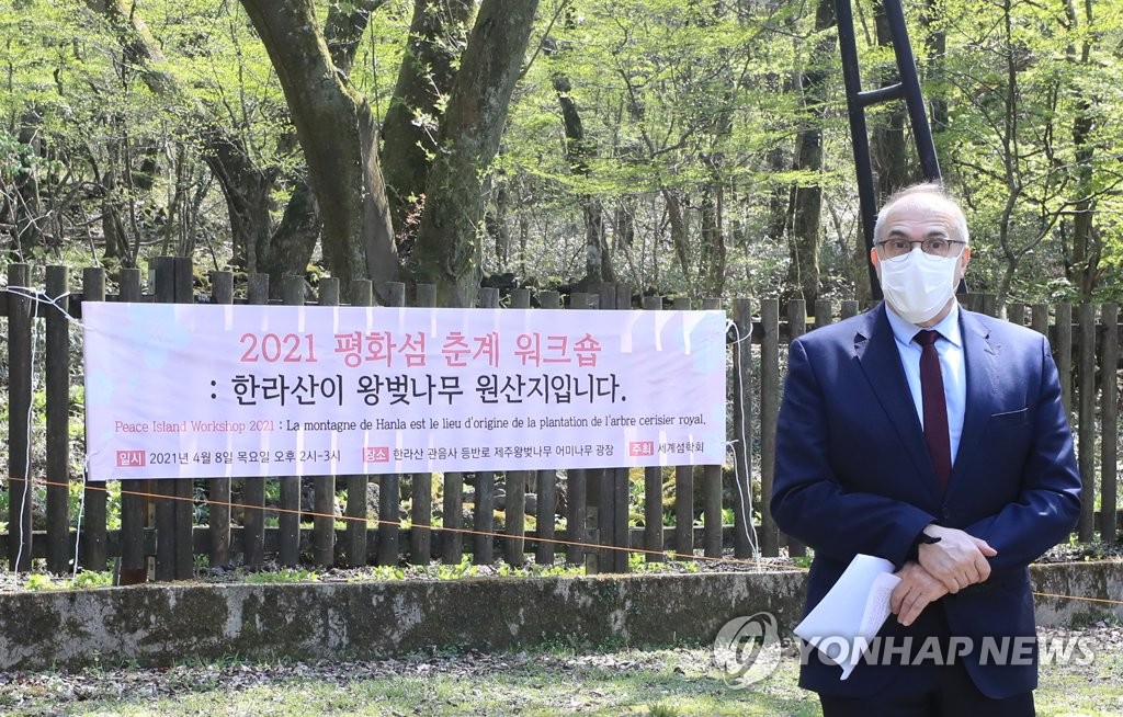 왕벚나무 자생지 찾은 주한 프랑스대사