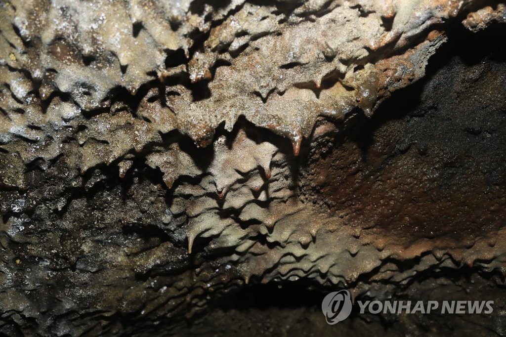 자연의 신비를 찾아서