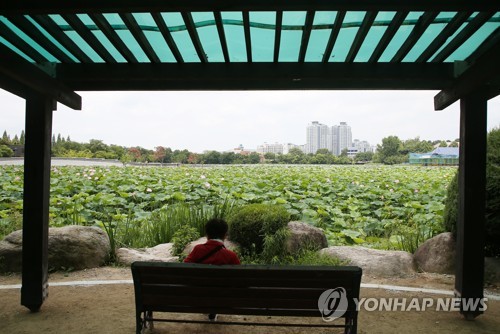 '그늘이 최고야'