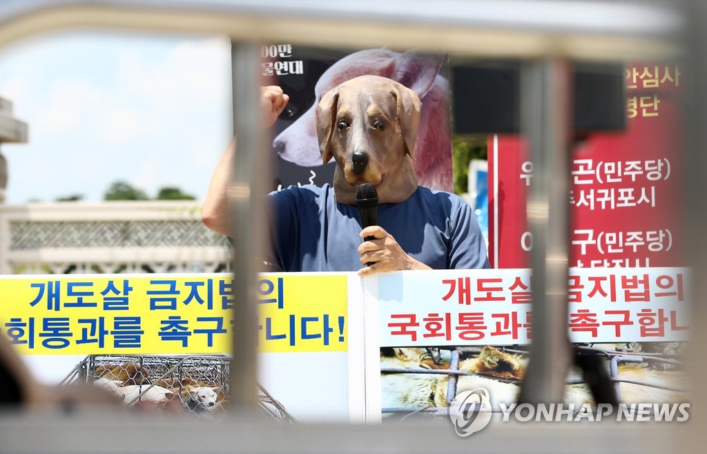 '개도살 금지, 개는 반려동물'
