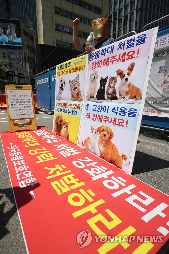 '동물은 물건이 아니다'민법 개정 환영 1인 기자회견