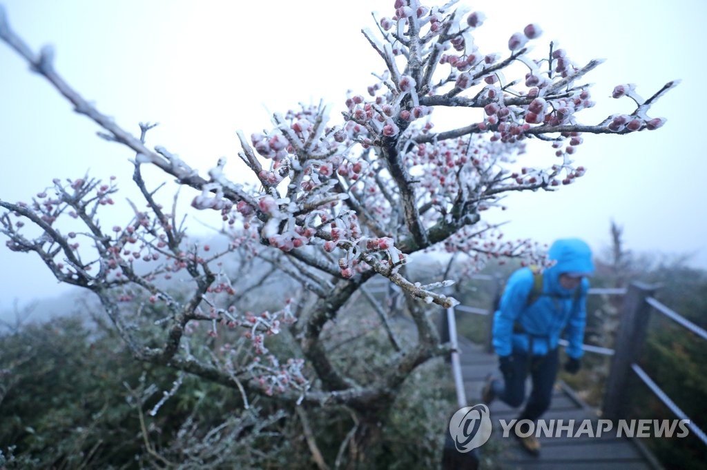 한라산에 첫 상고대 활짝…가을 속 겨울 정취 ′환상′ 